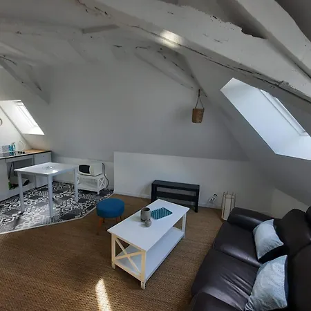 La Merlette Apartamento Le Lion-d'Angers
